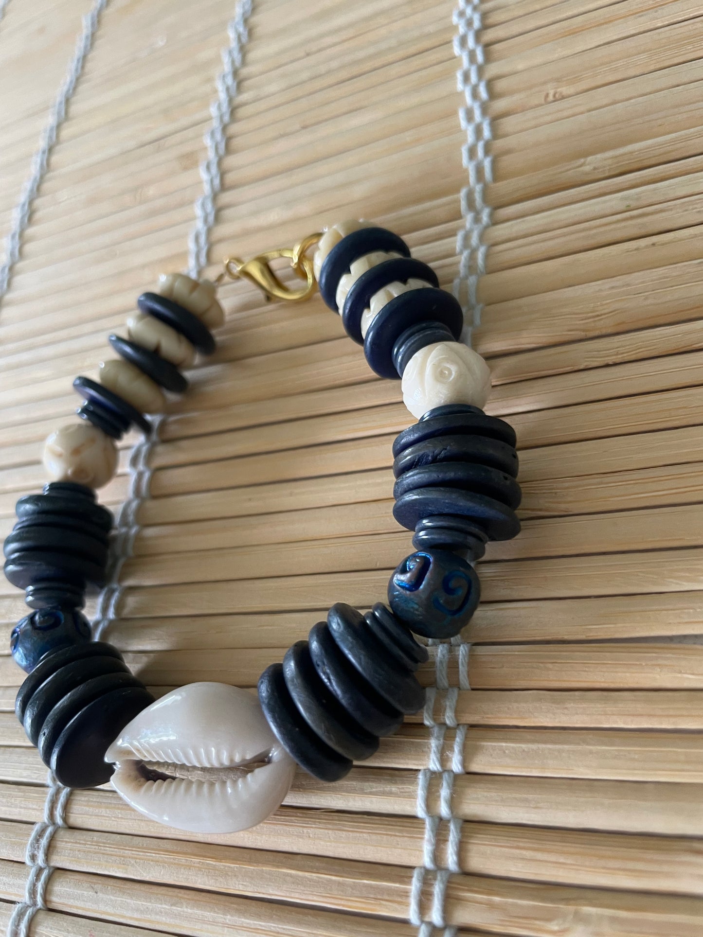Costal Cowrie